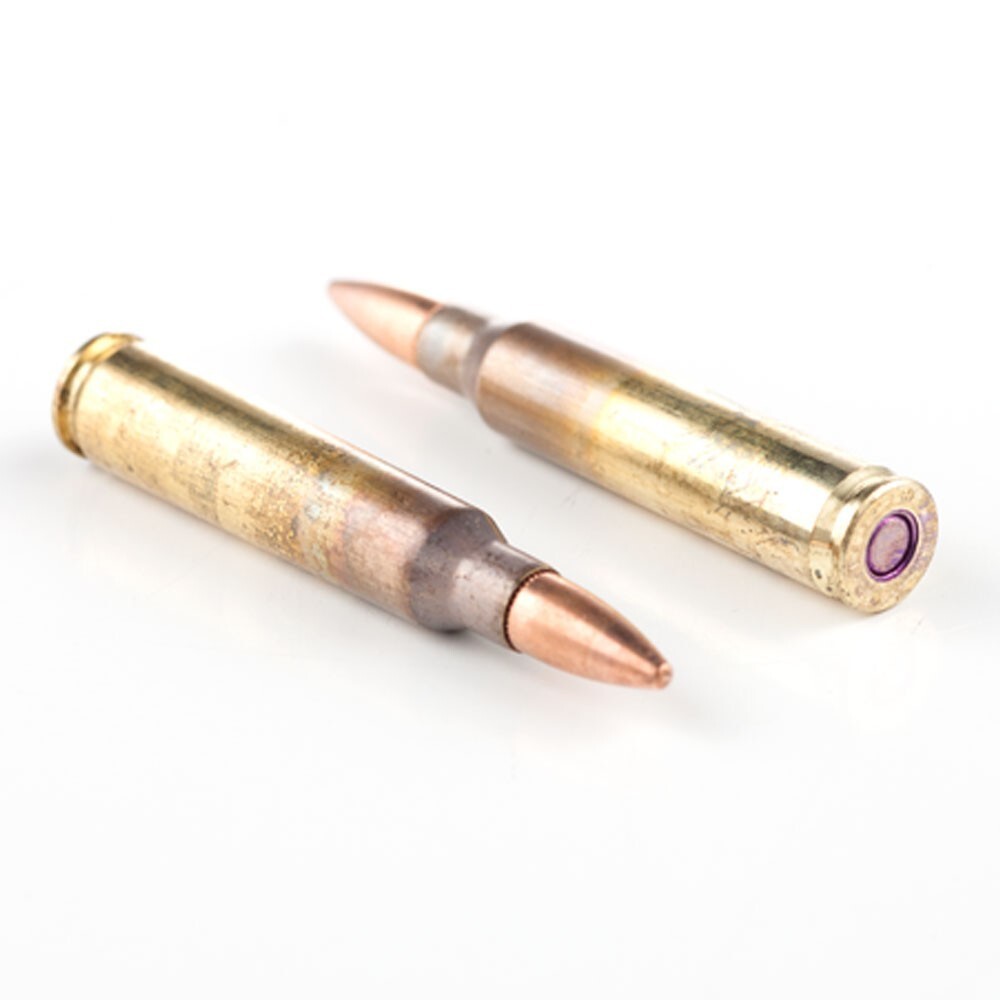 Federal American Eagle XM193 5.56x45 Ammunition 55 Grains FMJBT