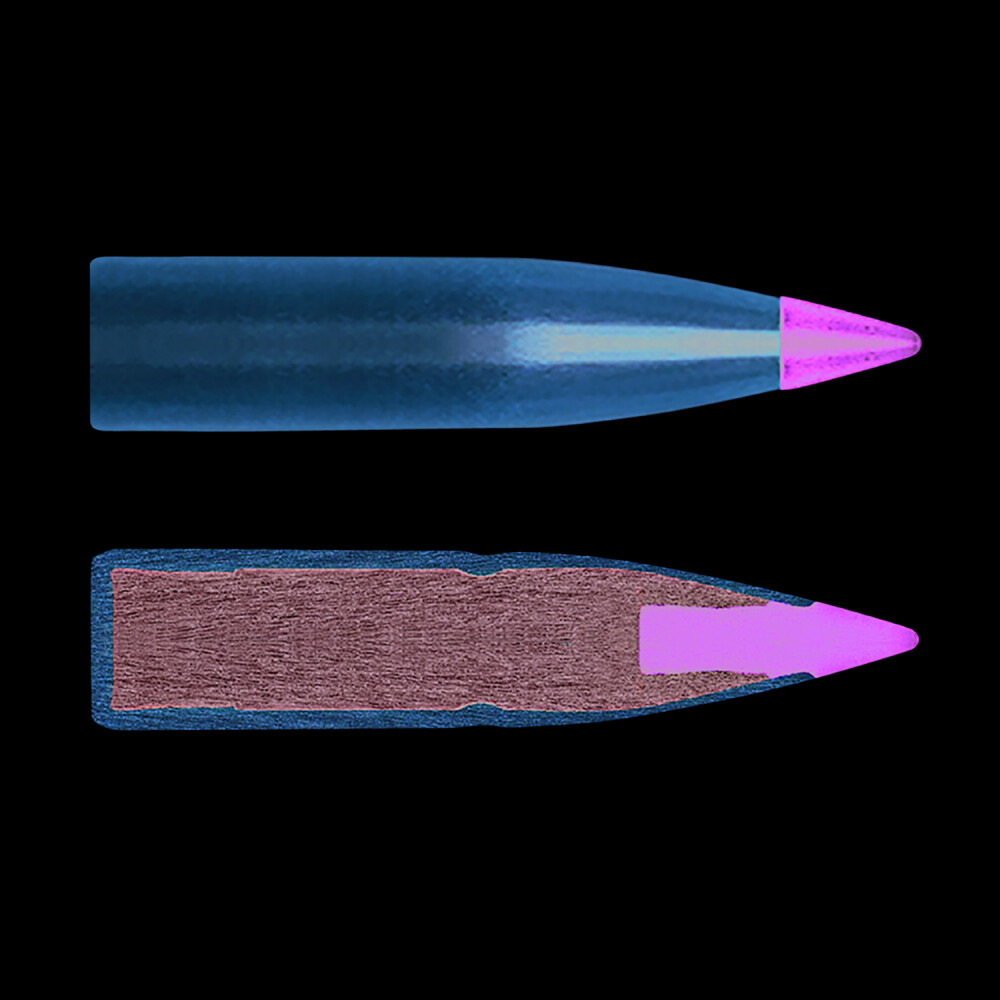Remington Core-Lokt Tipped .308 Win 165 Grain Ammunition [FC-47700485003]
