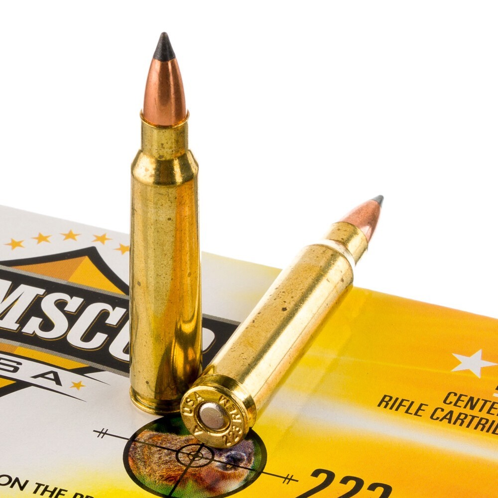 Armscor USA .223 Remington 55gr Polymer Tip 20 Rounds