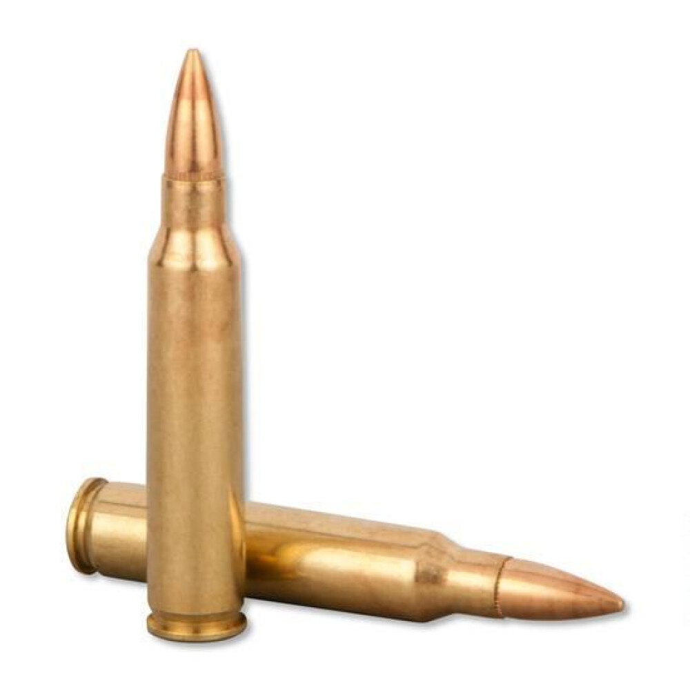 Pmc 223 Remington Ammo 1000 Rds Fmjbt 55 Grains Fc 50741569060085