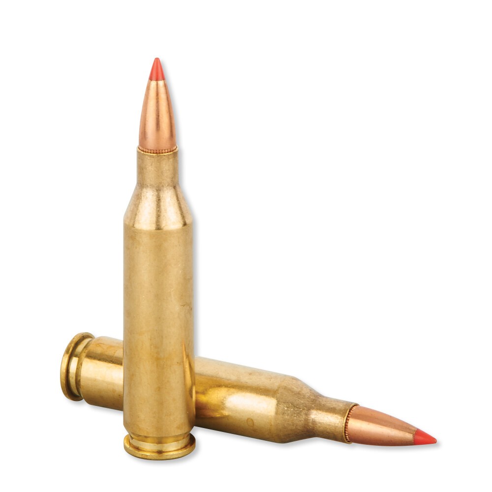 Hornady Superformance .243 Win Ammunition 20 Rounds SST 95 Grains 80463