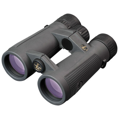 Leupold BX-5 Santiam HD 10x42 Binoculars BAK-4 Prism Full Multi Coated Lens Shadow Gray Finish