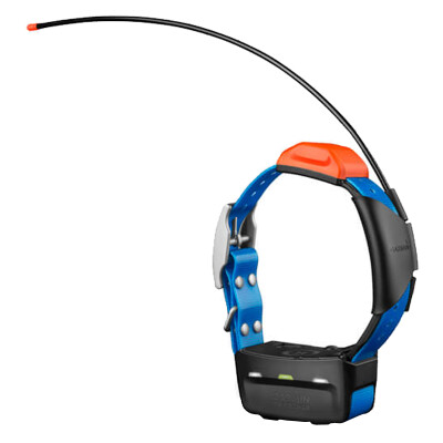 Garmin T 5X GPS Dog Collar Rechargeable Blue Strap