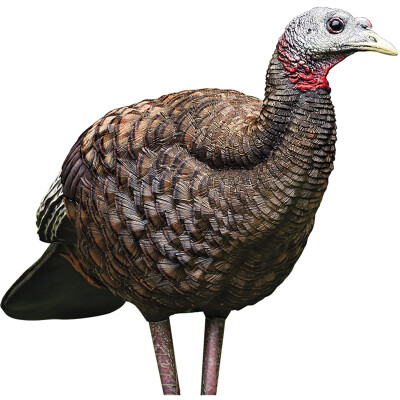 Avian X LCD Breeder Hen Turkey Decoy