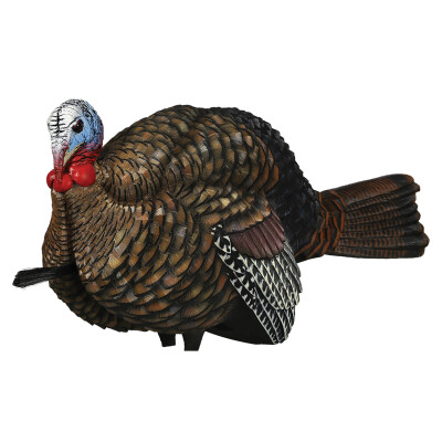Avian X LCD Half-Strut Jake Turkey Decoy