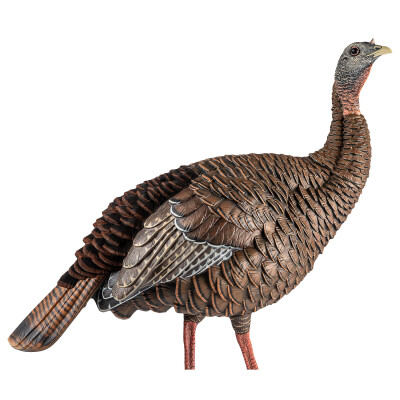 Avian X HDR Hen Turkey Decoy