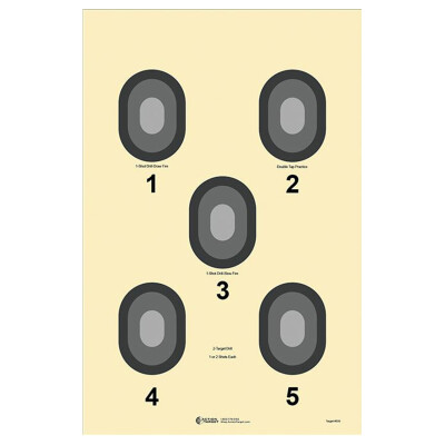 Action Target 5 Bull's-Eye Target Grey Center 100 Pack