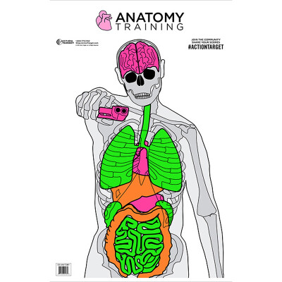Action Target Anatomy Training Target 23" x 35" Silhouette/Vitals Fluorescent 100 Count