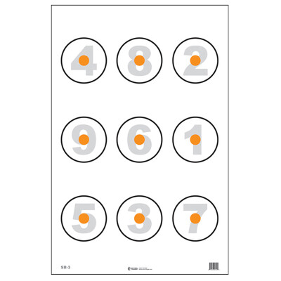 Action Target Basic Skill Builder 6" Circle Target 100 Pack