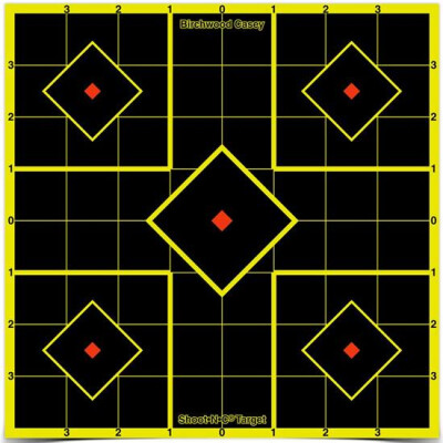 Birchwood Casey Shoot N C 8" Sight-In Self-Adhesive Target Reactive Paper Target Indoor/Outdoor Black Neon Grid 15 Pack 34112