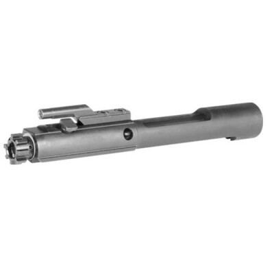 DoubleStar AR-15 Standard Bolt Carrier Group .223/5.56 Steel Black AR100