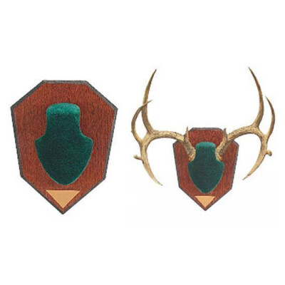 Allen Antler Mounting Kit Green
