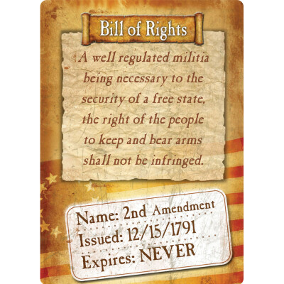 River's Edge Products "Bill Of Rights" Tin Sign 12 Inches by 17 Inches 1591