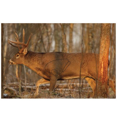 Birchwood Casey EZ-Scorer Paper Targets Whitetail Deer Target 23"x35" 2 Pack 37481