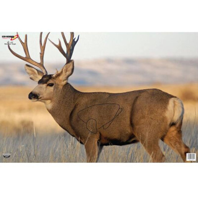 Birchwood Casey Eze Scorer "Mule Deer" Paper Target 23" x 35" 2 Pack 37482