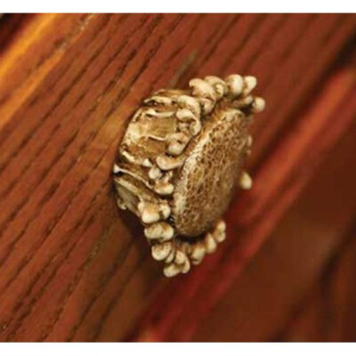 River's Edge Products Antler Round Drawer/Cabinet Pulls 657