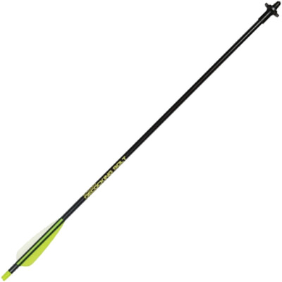 Allen Crossbow Decocking Bolt Integrated Steel Tip 24' Fiberglass Shaft