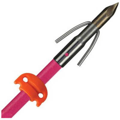 AMS Bowfishing Chaos Point With Pink Fiberglass Shaft