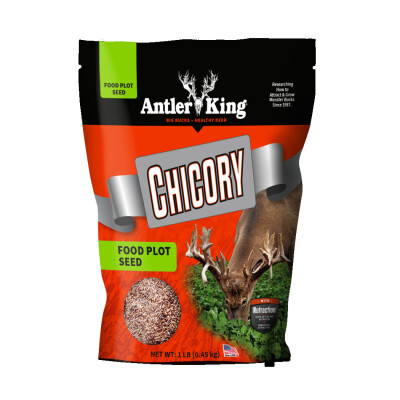 Antler King Chicory Food Plot Seeds 1lb 1/4 Acre