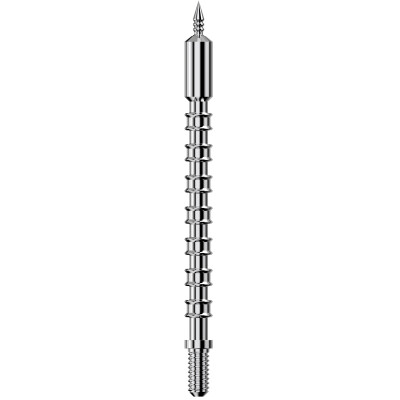 Real Avid Bore-Max Speed Jag .22 Caliber Pistol Nickel Plated