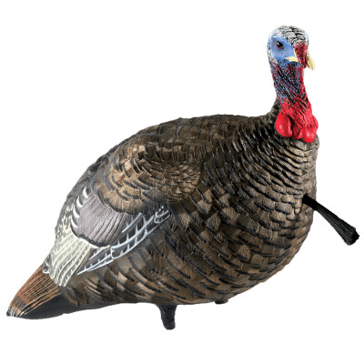 Avian-X LCD Quarter-Strut Jake Turkey Decoy