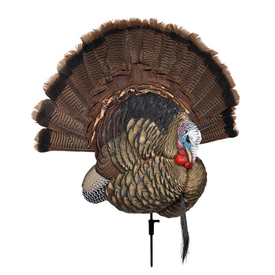 Avian X Trophy Tom Tail Fan Display/Decoy