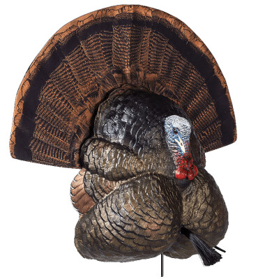 Flextone Thunder Creeper Decoy 3 D Rubber Life Size Realistic Male Turkey