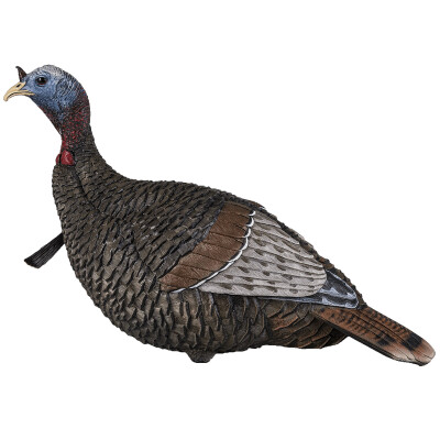 Flextone Thunder Jake Decoy 3 D Rubber Life Size Realistic Male Turkey