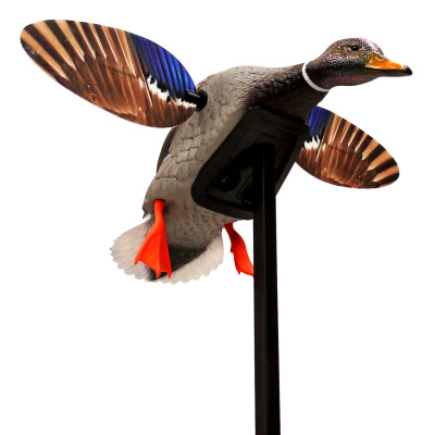 MOJO Outdoors Mallard Elite Series Mini Mallard Drake Duck Decoy