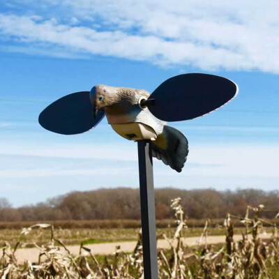 MOJO Outdoors Elite Series Dove Electronic Decoy