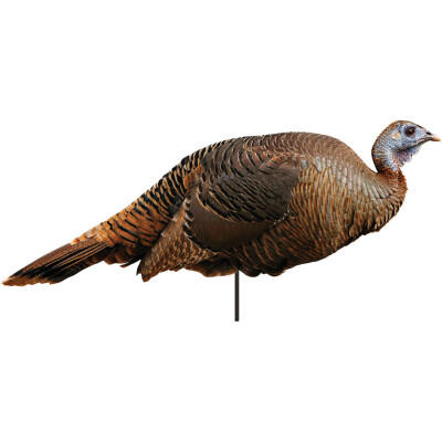 Montana Decoy Co Spring Fling Turkey Hen Decoy