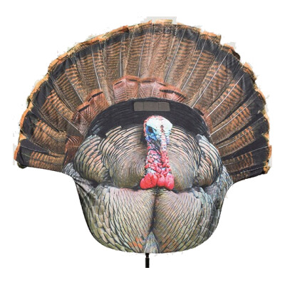 Montana Decoy Company Turkey Decoy Gobbler Fanatic 2D