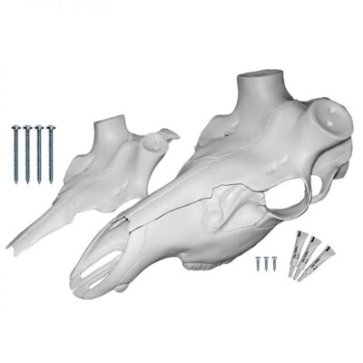 Mountain Mike's Skull Master European Mount Kit for Elk Natural Finish