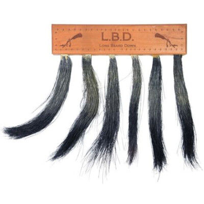Pittman Game Calls LBD Beard Display Natural Wood