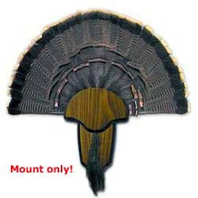 HUNTER'S SPECIALTIES TURKEY TAIL AND BEARD MOUNTING KIT WOOD