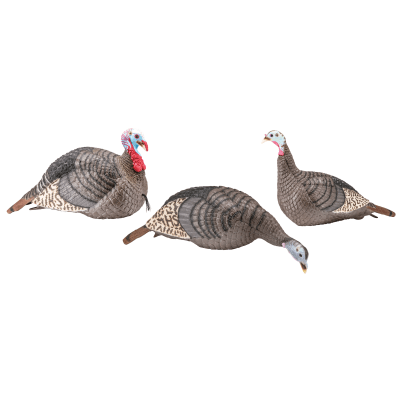 Hunter's Specialties Strut-Lite Flock Jake & Hen Turkey Decoy Set