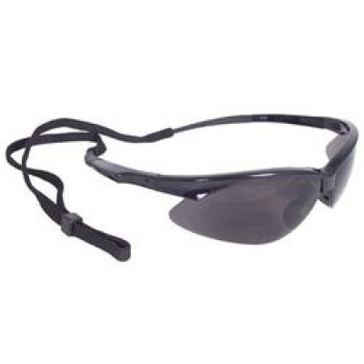 Radians Outback Glasses Smoked Lenses Black Frame OB0120CS