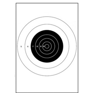 Action Target B-8 25-Yard Slow Fire Pistol Target 10.5"x12" Paper Target 100 Pack