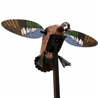 MOJO Outdoors Elite Series Blue Wing Teal Electronic Decoy
