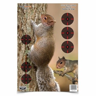 Birchwood Casey Pregame 12 X 18 Inch Squirrel Target Indoor/Outdoor 8 Pack