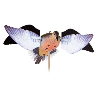 Avian X Powerflight Dove Spinning-Wing Decoy