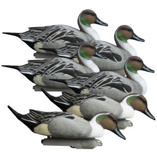 Higdon Outdoors Battleship All-Drake Pintail Decoys, 6 Pack