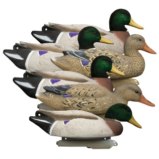 Higdon Outdoors Battleship Mallard Duck Decoys Flocked Head 6-Pack