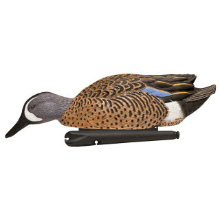 Avian X Topflight Blue-Winged Teal Species Decoys 4-Pack
