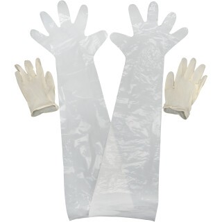 Allen Field Dressing Gloves 2-Pairs
