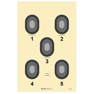 Action Target 5 Bull's-Eye Target Grey Center 100 Pack