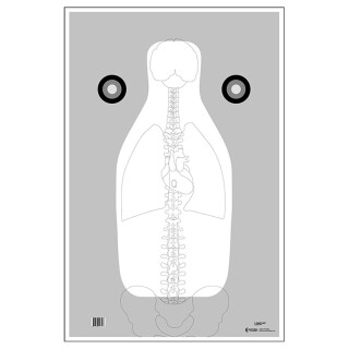 Action Target FBI-Q Target with Vital Anatomy V2 100 Pack