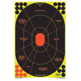 Birchwood Casey Shoot-N-C 12"x 18" Handgun Trainer Targets