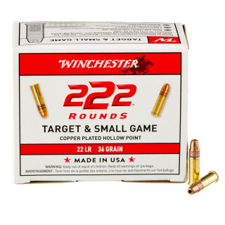 Winchester .22LR Ammunition 36 Grain Copper Plated Hollow Point 1280 fps 222 Rounds