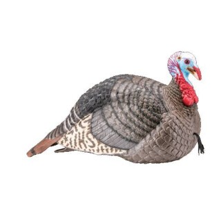 Hunters Specialties Strut Lite Jake Turkey Decoy Foldable Lifelike